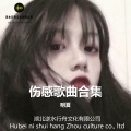 喜欢你是我的秘密 (DJ版)