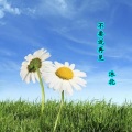 沐北 - 不要说再见