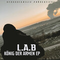 Modtek、L.A.B - Grüner Teufel