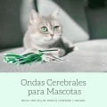 Ondas Cerebrales para Mascotas: Música para Relajar Animales Estresados o Ansiosos