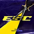 Say Nothing