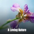 Martin Rowberry - All Alone - Emotional Underscore