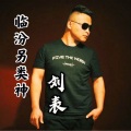 刘表 - 临汾另类神