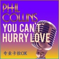 Professional Karaoke - You Can't Hurry Love