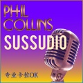 Professional Karaoke - Sussudio