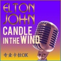 Professional Karaoke - Candle in the Wind
