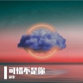 锦零 - 可惜不是你