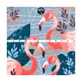 Farrin Collins、Thorsten Hammer - Hemisphere