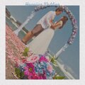 The Velours - Hawaiian Wedding