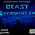 Swiiimgod、Beast - All Lost