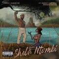 Vusinator、King Monopoly、Rising blaqstar、T-Percx、Assert - Shela ntombi (feat. Assert King Monopoly & Rising blaqstar)(Explicit)