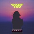Liam Neil - Want You Radio Mix