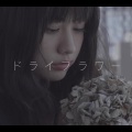 花绫uki - ドライフラワー/干燥花