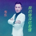 韦东 - 我的情深你若懂