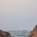 Foundations - There's something about Darwin
