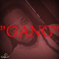 Mikey Bhee、doug - GANG (feat. DOUG)(Explicit)