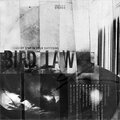 Bird Law - Portrait Of A Broken Knife