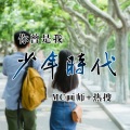 MC画师、刘雨菲 - 你曾是我少年时代
