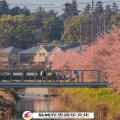 枫总、在忠、上官静、河源小天 - 落班饮啤酒了喂 (DJ版)
