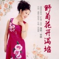 李健 - 野菊花开满坡