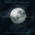 Trouble Sleeping Club - Dreamer