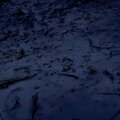 DeadVaporBoy、Mo - Body in the Snow (Frozen Roadways and Cold Thoughts-Scene One)(feat. Mo)(Explicit)