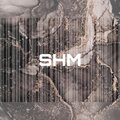 Tori - Shm