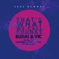 Budai & Vic、Dave Wincent - That's What We Call Phunky (DaveWincentGroovyRemix)
