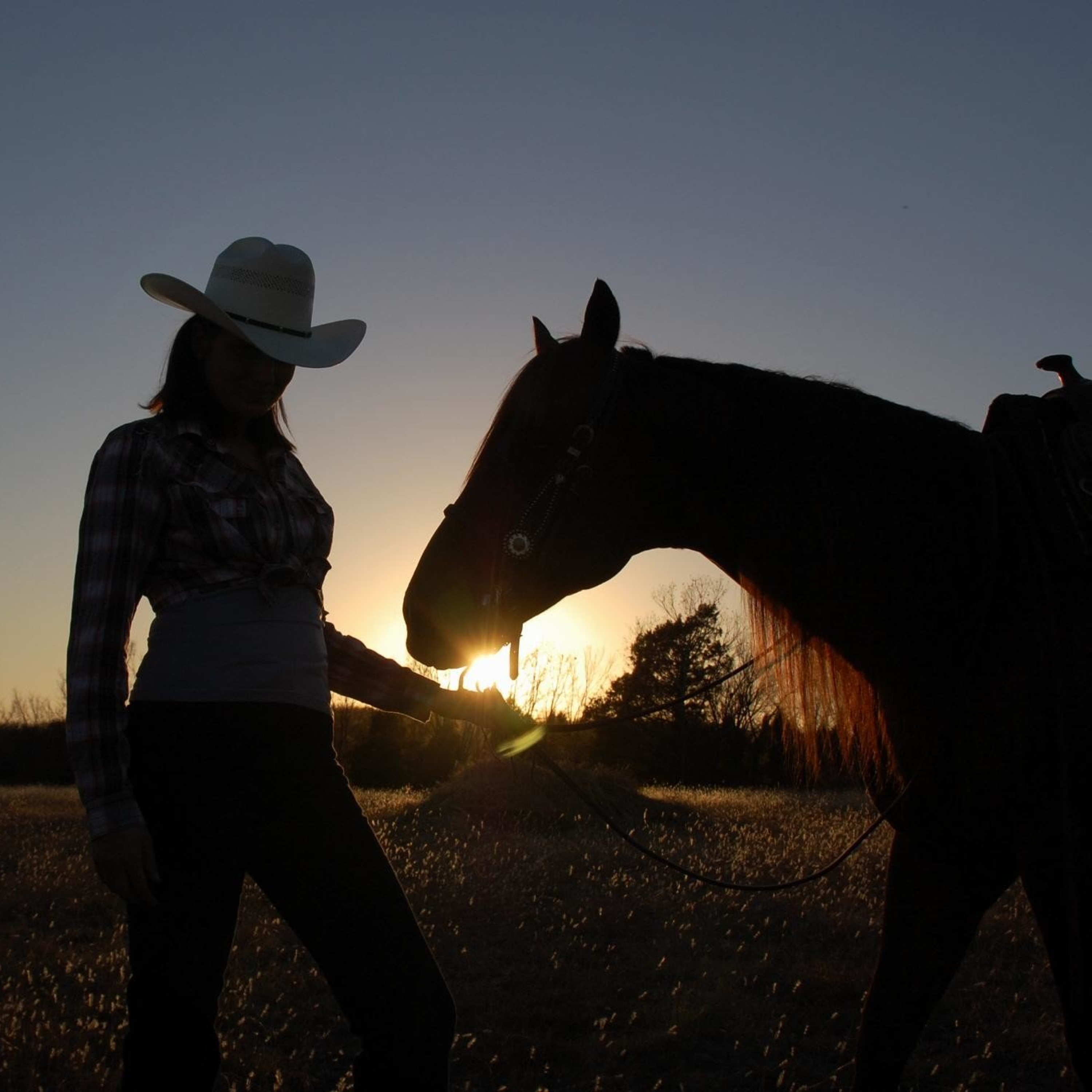 B.R.S. - Sippi Rodeo (Explicit)