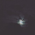 Dionysus_凡哥哥 - Nothing