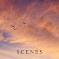 Scenes - To Dry