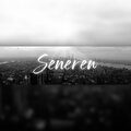 Senereu - Introspectie