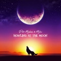 Howling at the Moon (feat. Milow)