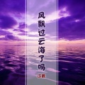 江辰 - 你喜欢大海我爱过你