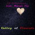 Valley of Flowers