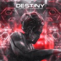 DRAWATTENTION、Lastfragment - Destiny