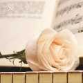 孔亮 - When the Love Falls