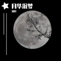 流月 - 月华沉梦