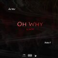Slwn、Jay'mar、Bobby D - Oh Why (feat. Jay'mar & Bobby D)(Explicit)