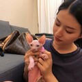 曲潇潇
