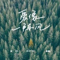 刘轩瑞 - 爱像一阵风