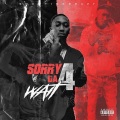 SHOWTIME BRAZY、SuperStar Tayy、Gramz - IM HIM (Explicit)