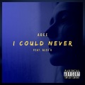 I Could Never (feat. Alex G)(Explicit)