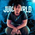 Juice Box - Understood