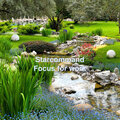 Mickael - Starcommand (Focus for Work)