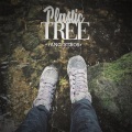 Plastic Tree - Queda Por Ver