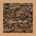 The Velours - Honey Honey