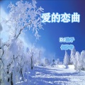 DJ浪子 - 爱的恋曲