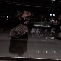 王子晨 - 解脱
