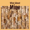 The Ventures - What About Mine